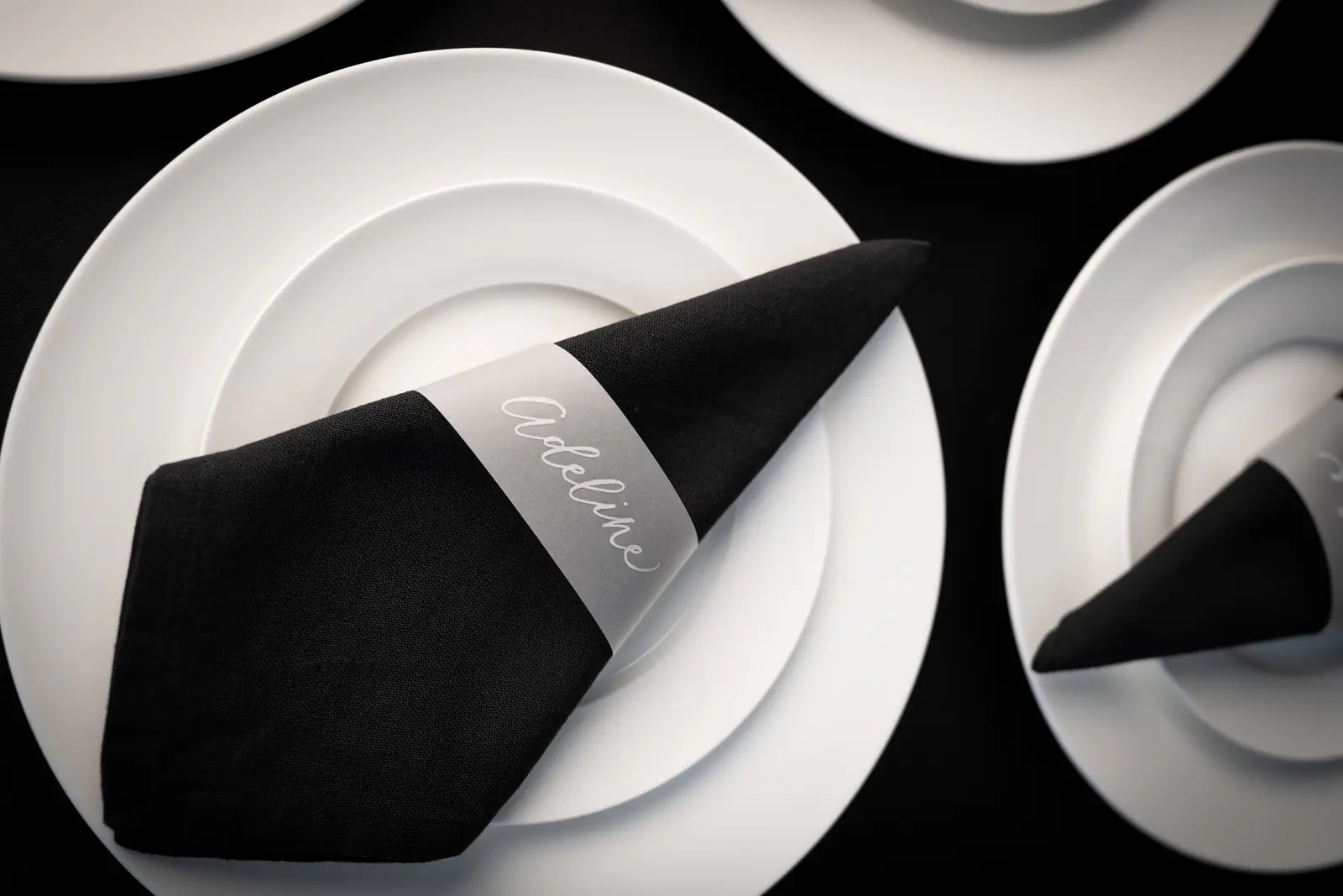 Modern calligraphy vellum place cards