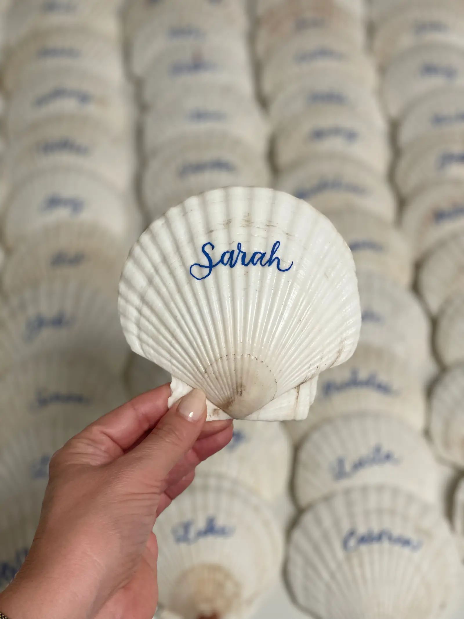 Shell place card 2